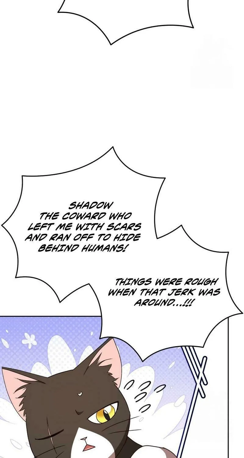 Chapter 77 - Image 8