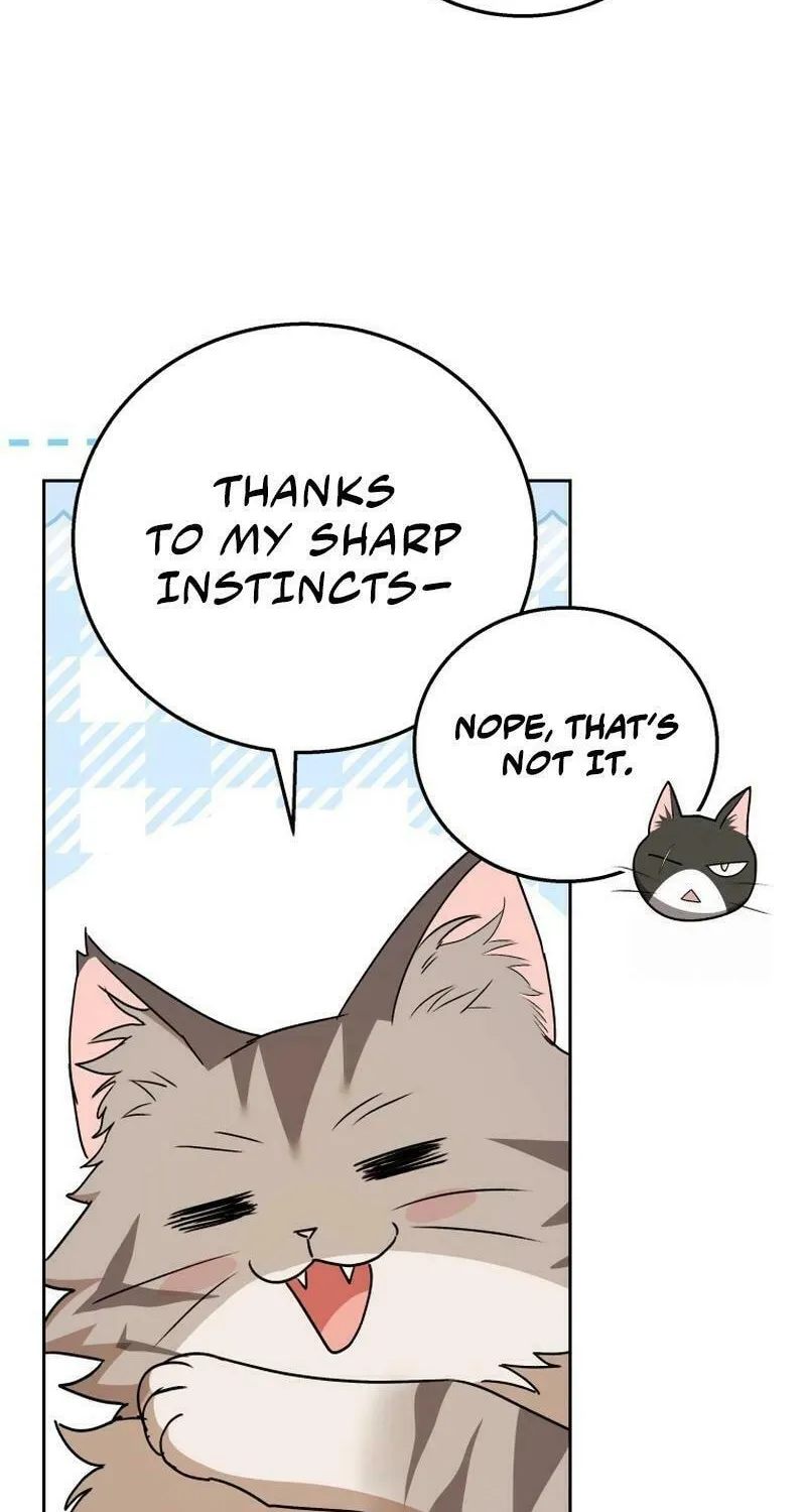 Chapter 78 - Image 6