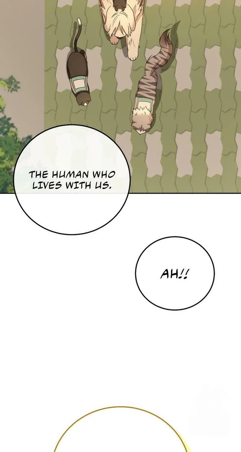 Chapter 78 - Image 8