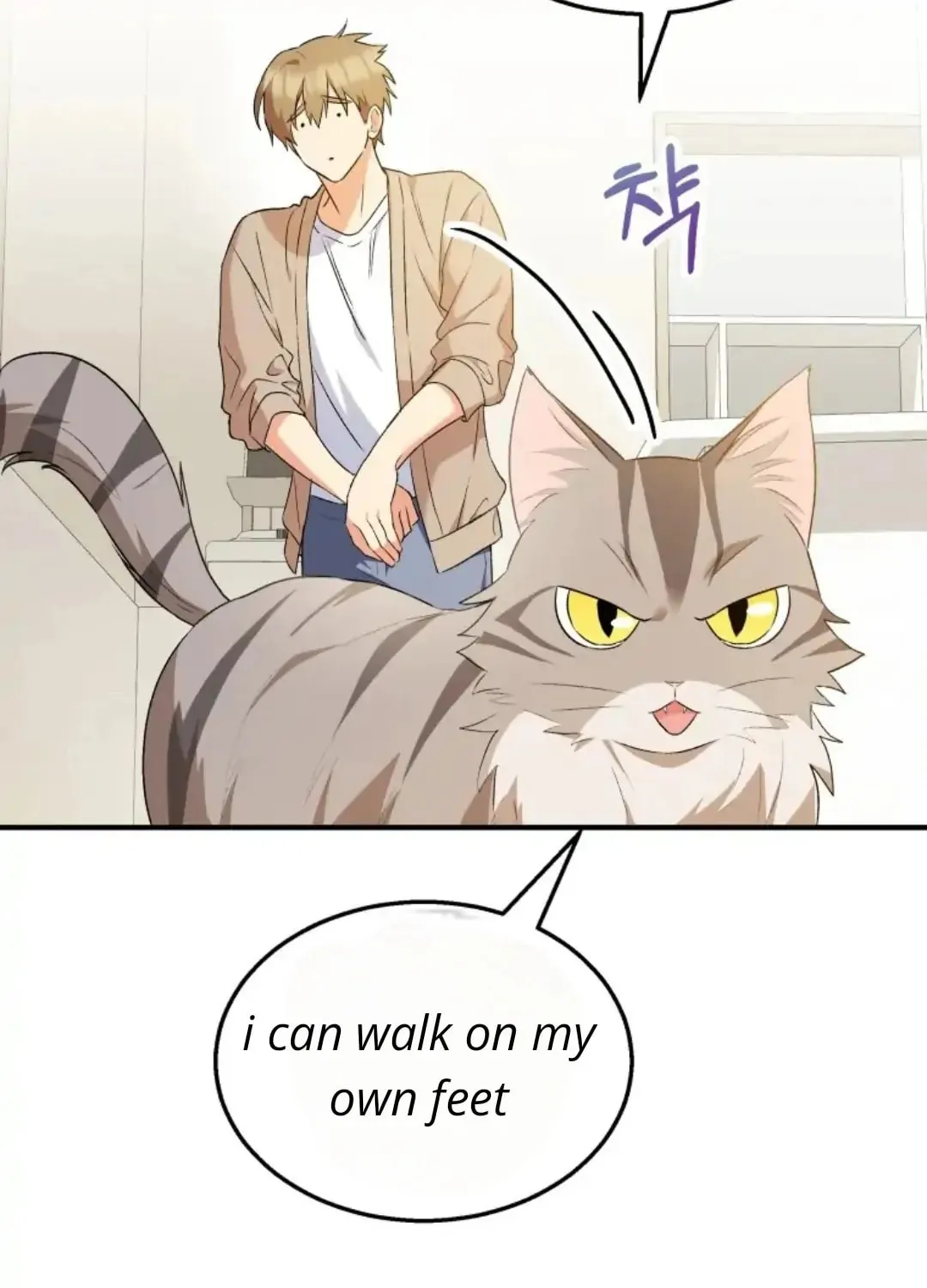 Chapter 8 - Image 107