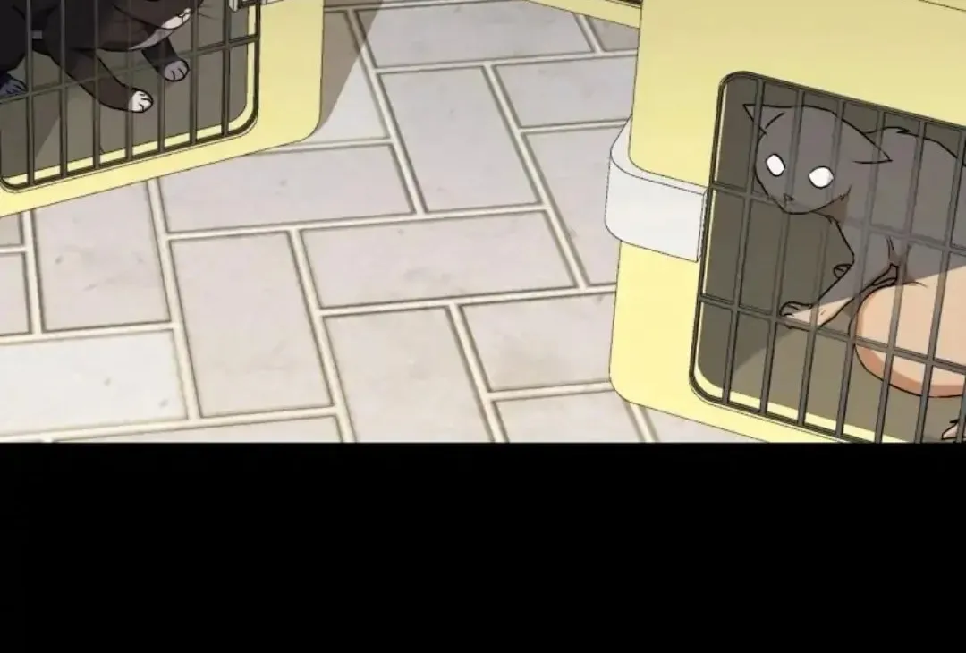 Chapter 8 - Image 38