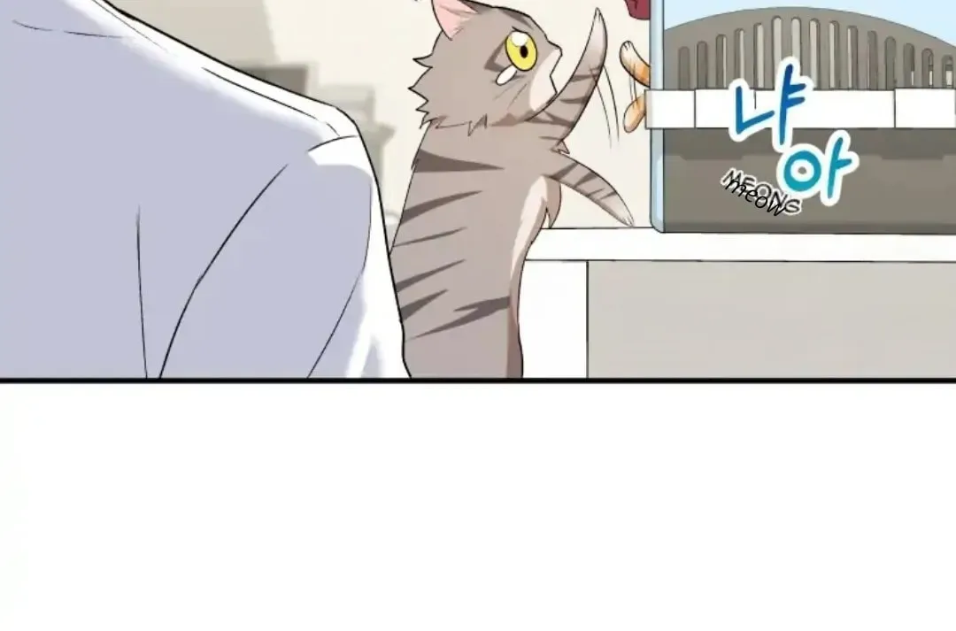 Chapter 8 - Image 98