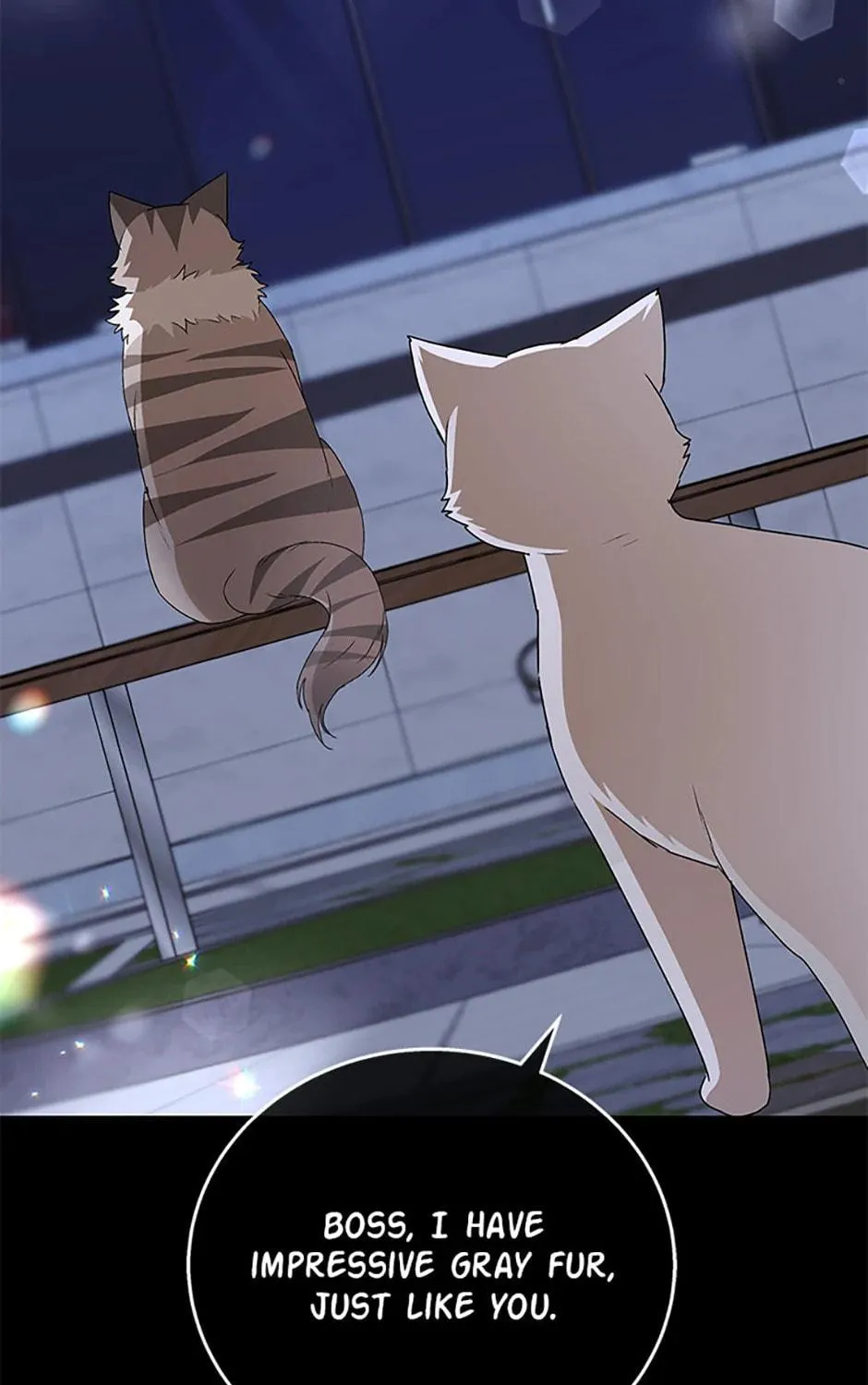 Chapter 81 - Image 11