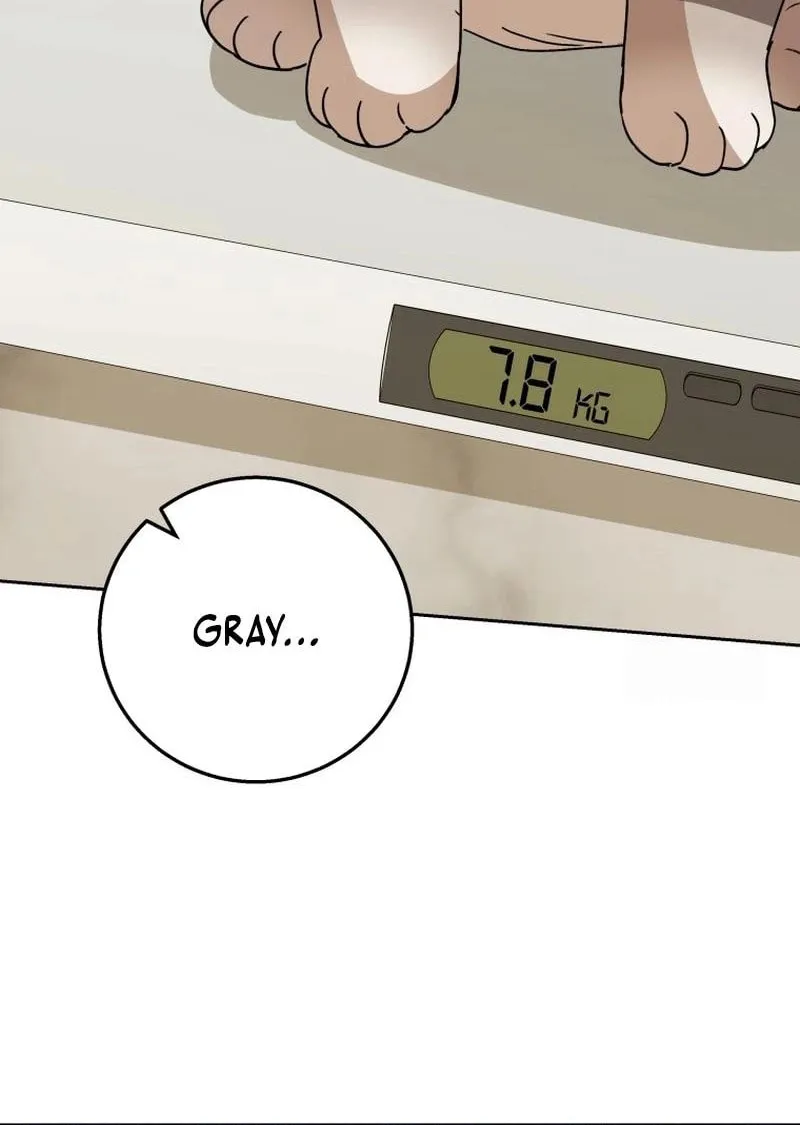 Chapter 83 - Image 89