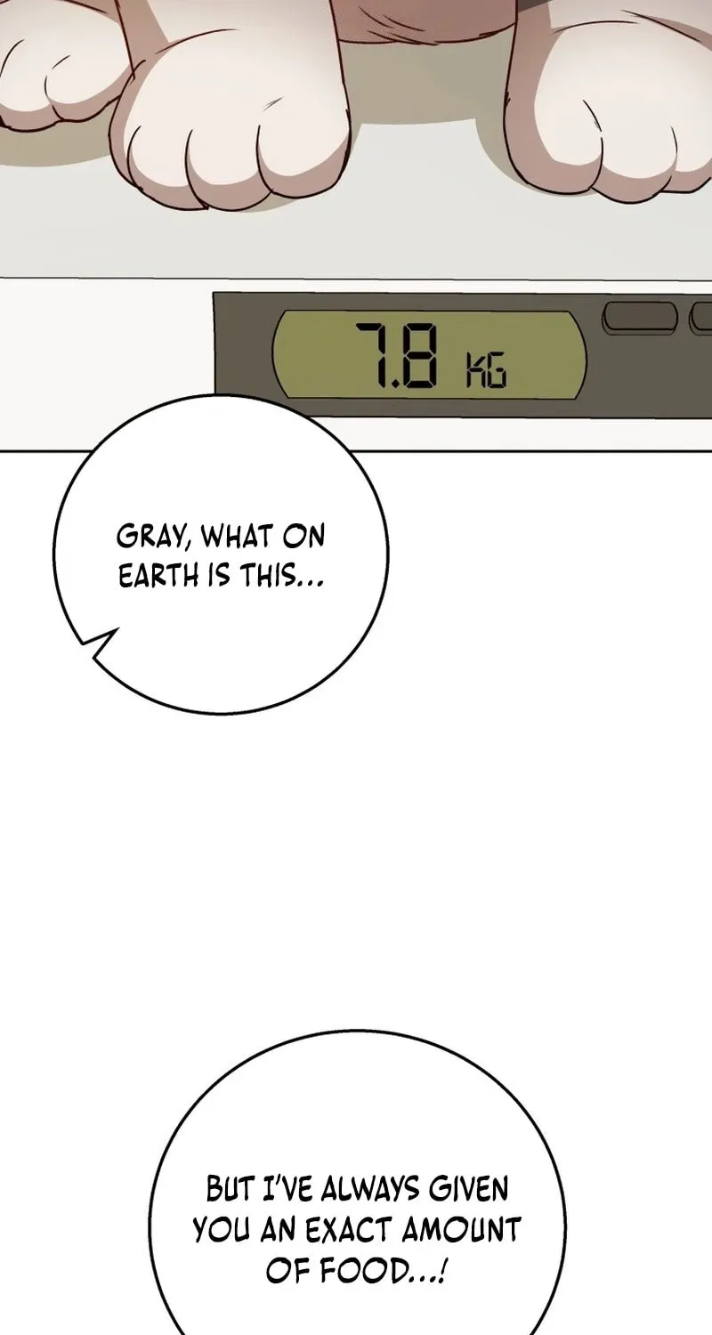 Chapter 84 - Image 3