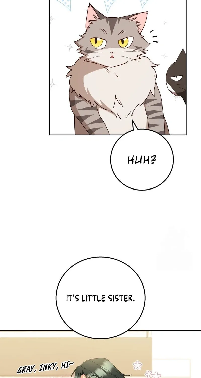 Chapter 84 - Image 46