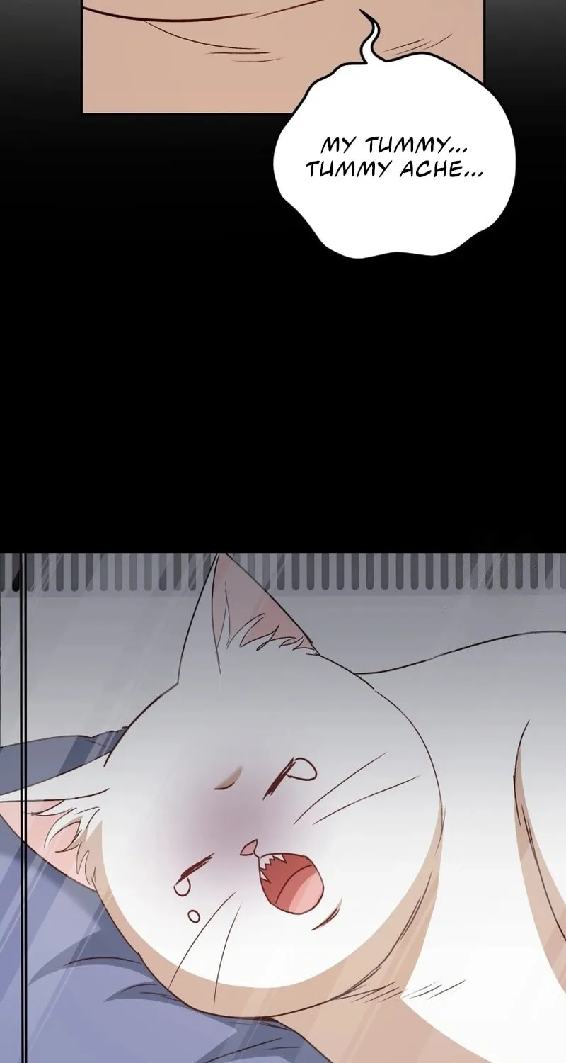 Chapter 84 - Image 88