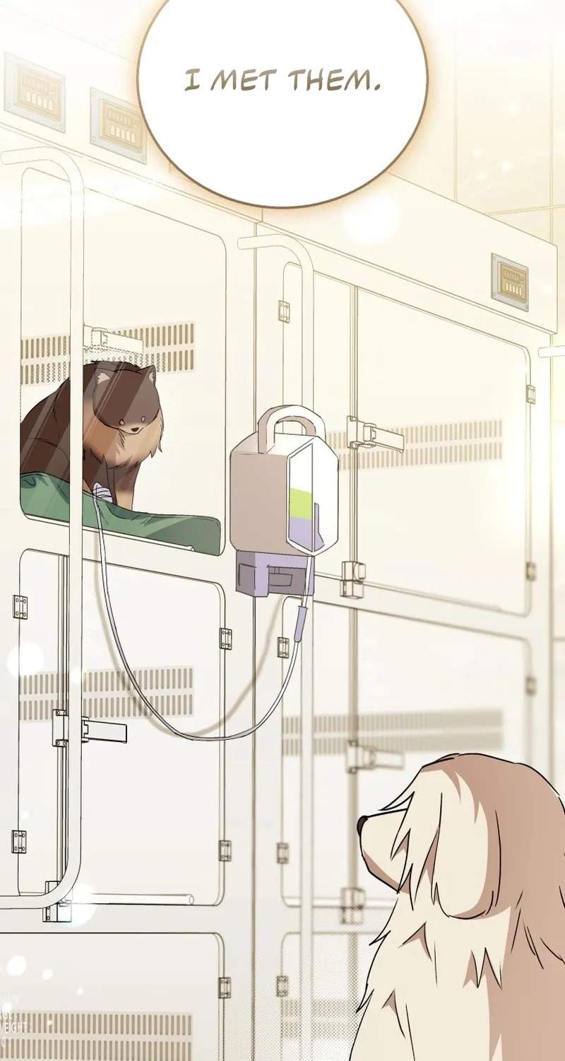 Chapter 91 - Image 12