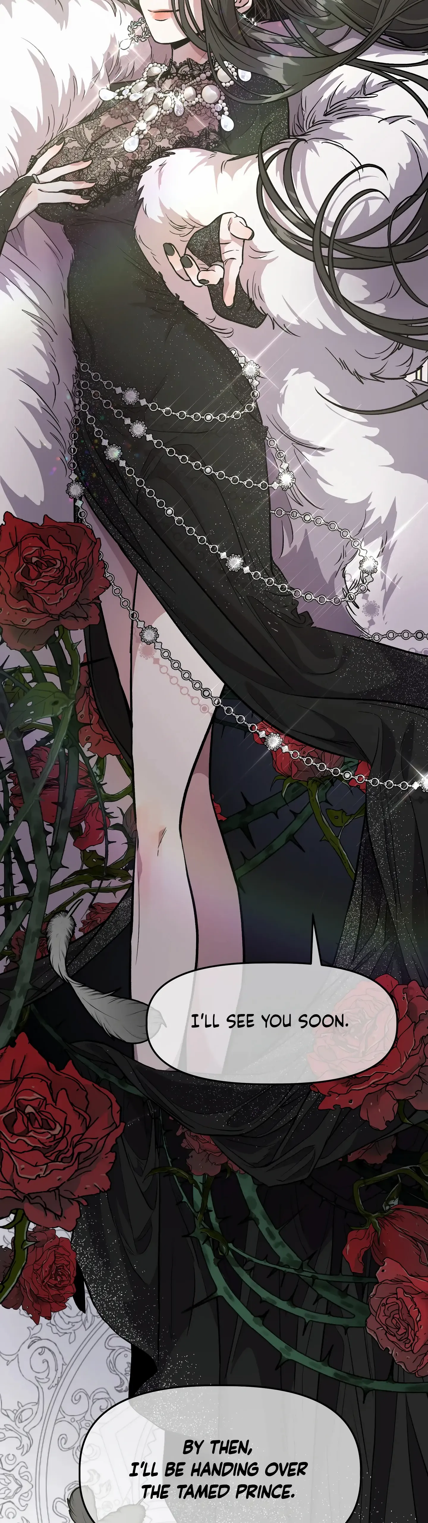 Chapter 1 - Image 21
