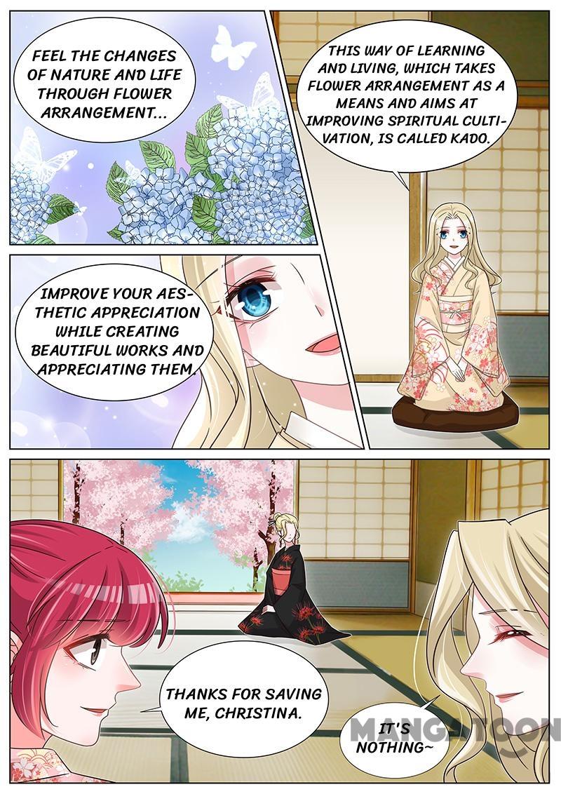 Chapter 247 - Image 7