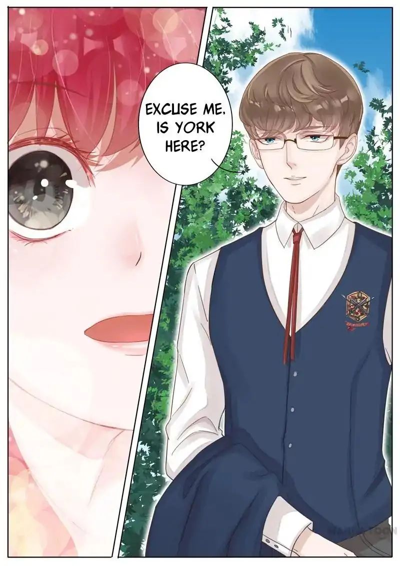 Chapter 5 - Image 4
