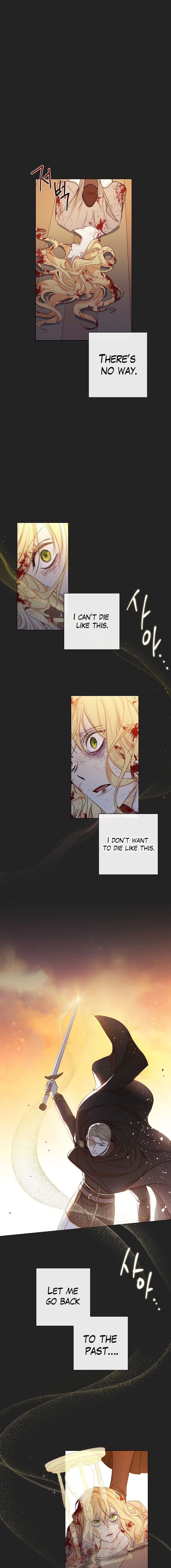 Chapter 1 - Image 10
