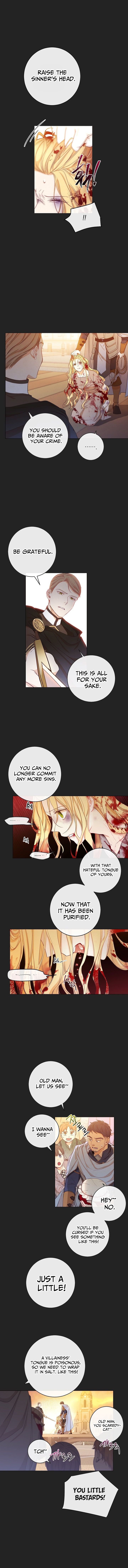 Chapter 1 - Image 4