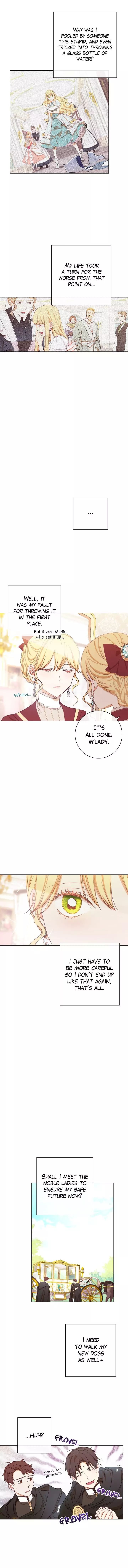 Chapter 8 - Image 7