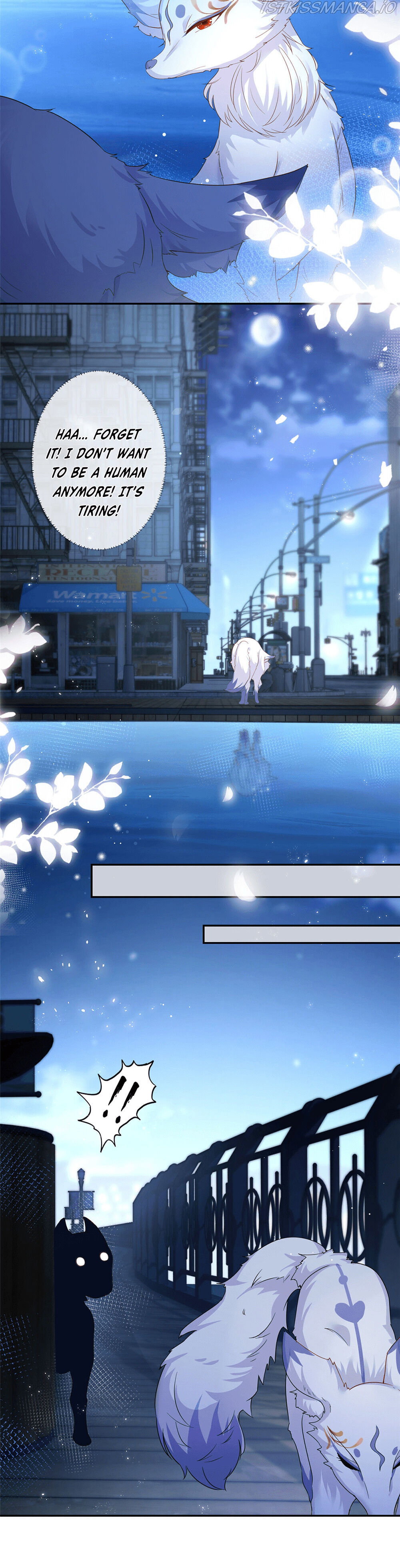 Chapter 1 - Image 10