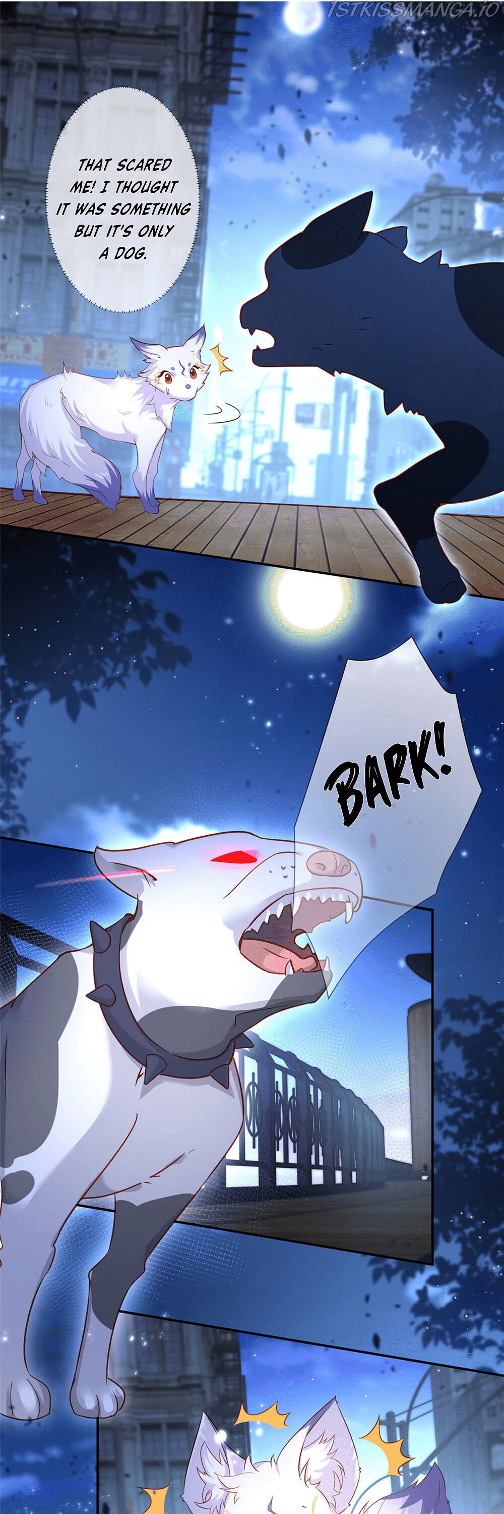 Chapter 1 - Image 11