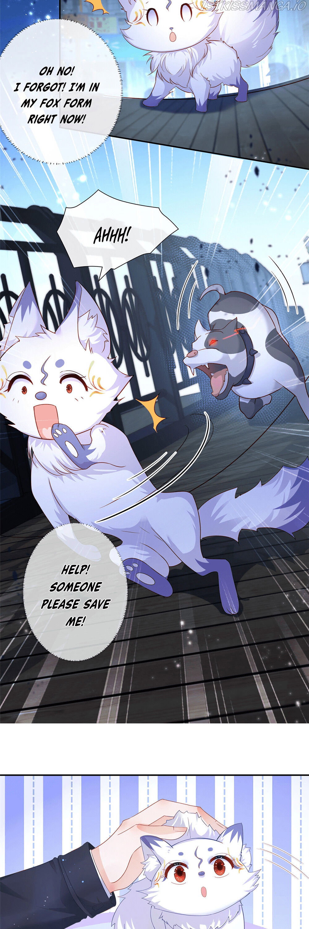 Chapter 1 - Image 12