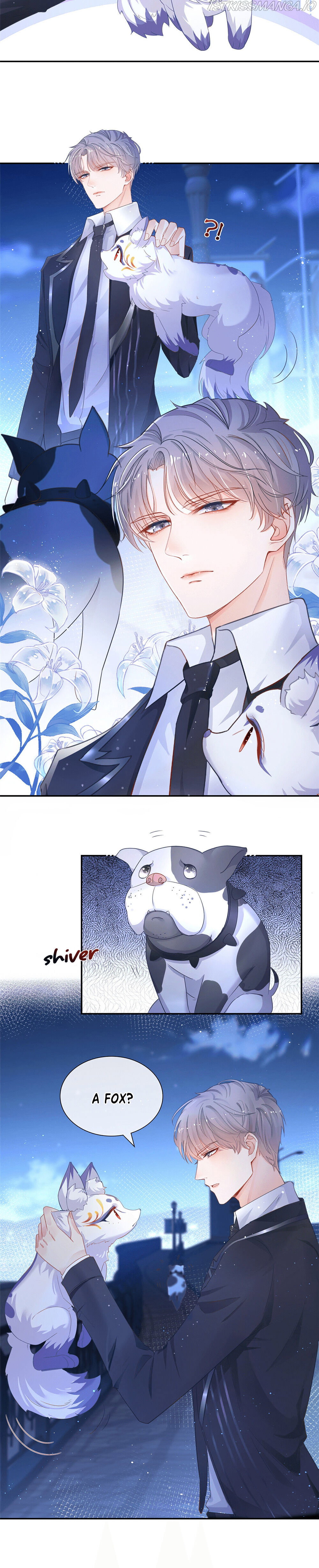 Chapter 1 - Image 13