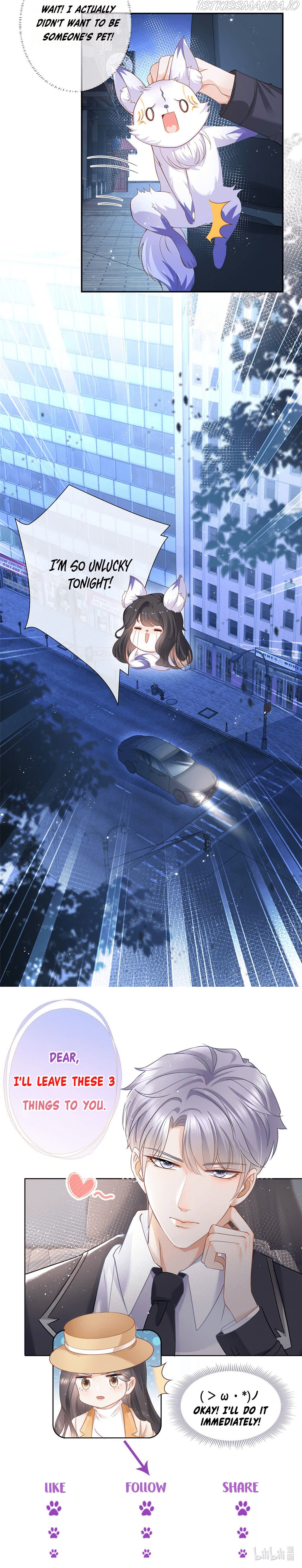 Chapter 1 - Image 17