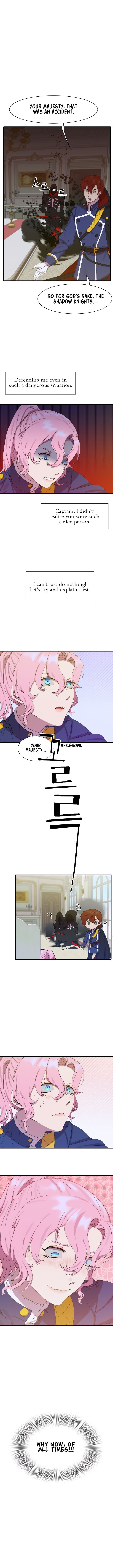 Chapter 3 - Image 5