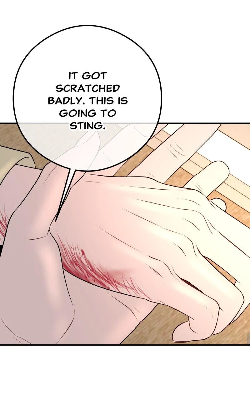 Chapter 17 - Image 23