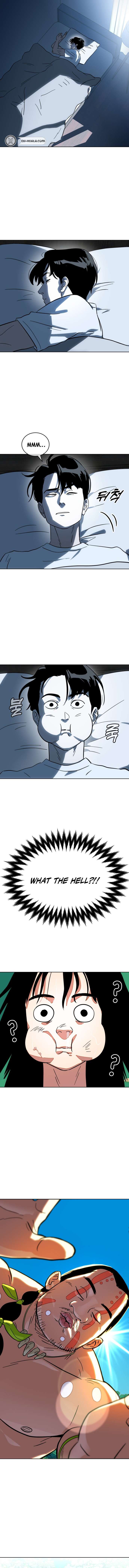 Chapter 1 - Image 17