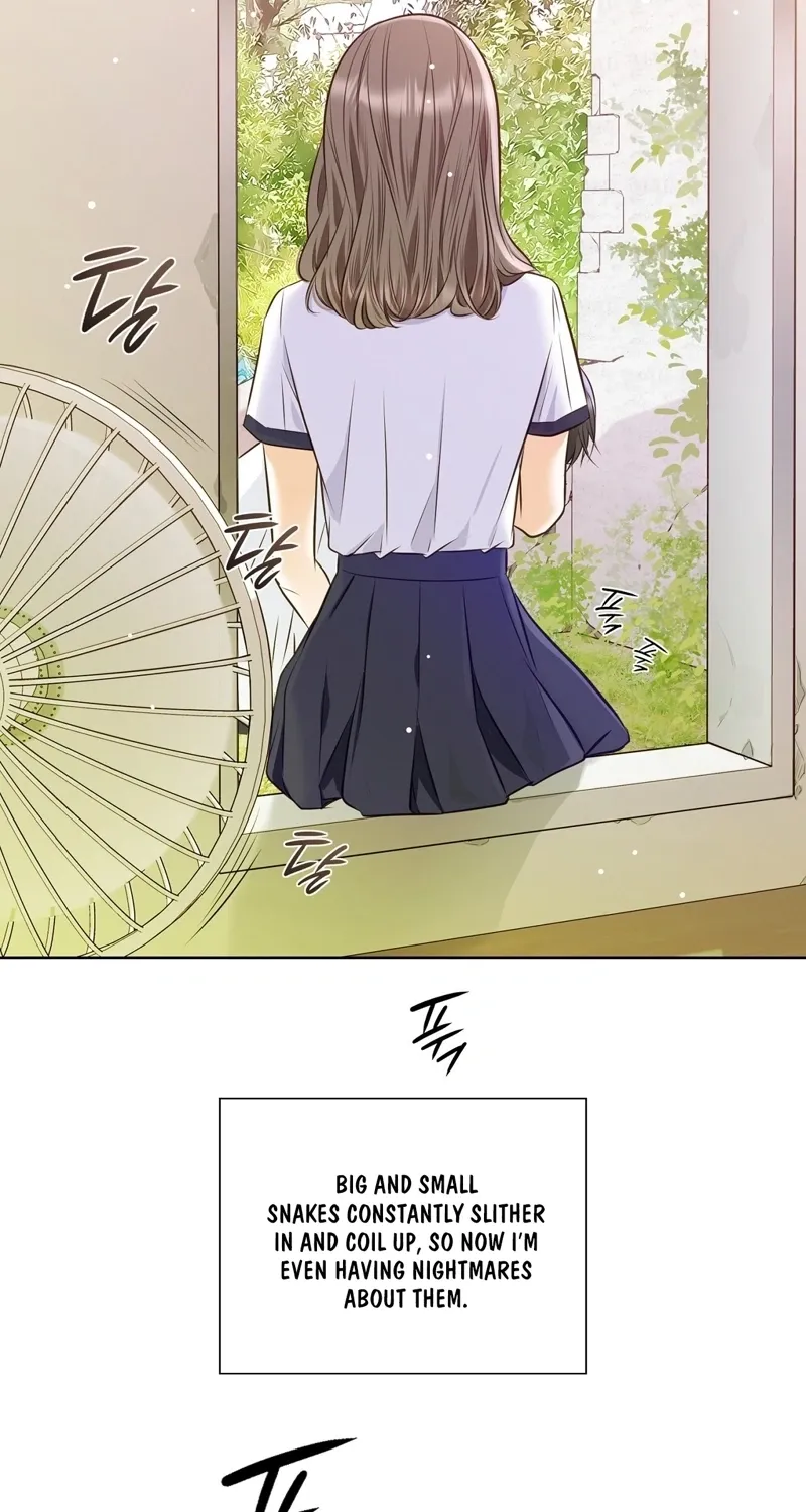 Chapter 1 - Image 27