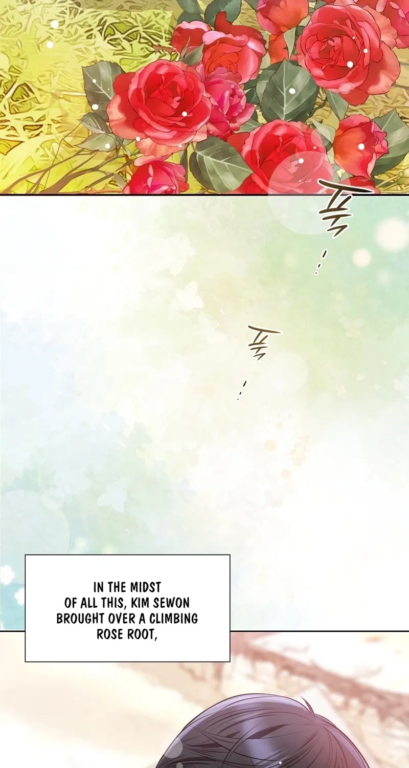 Chapter 1 - Image 29