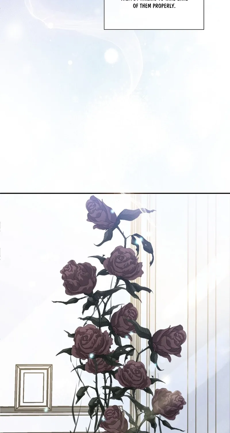 Chapter 2 - Image 109