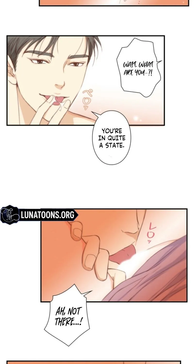 Chapter 1 - Image 16