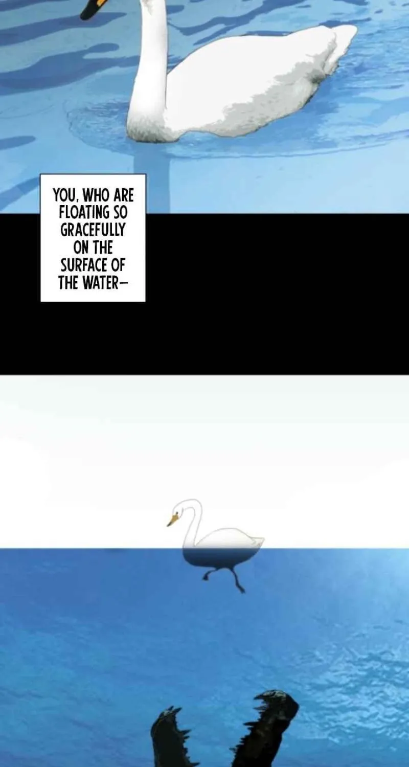 Chapter 10 - Image 38