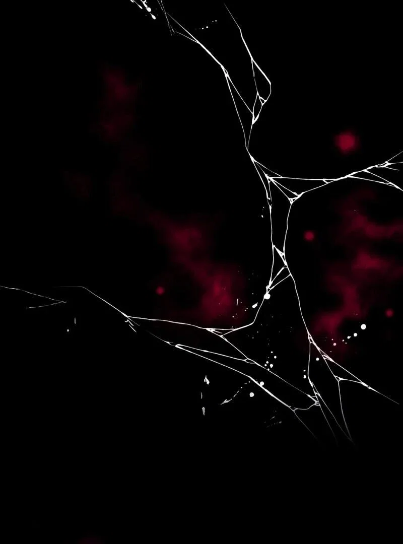 Chapter 2 - Image 207