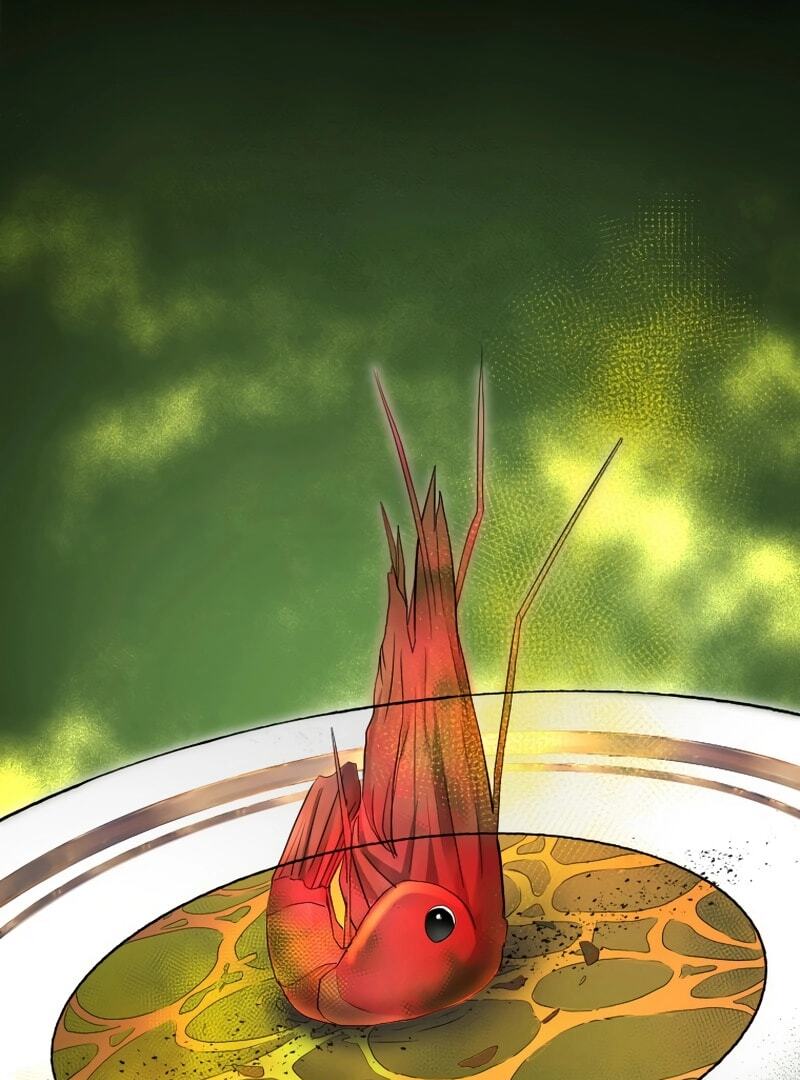 Chapter 2 - Image 41