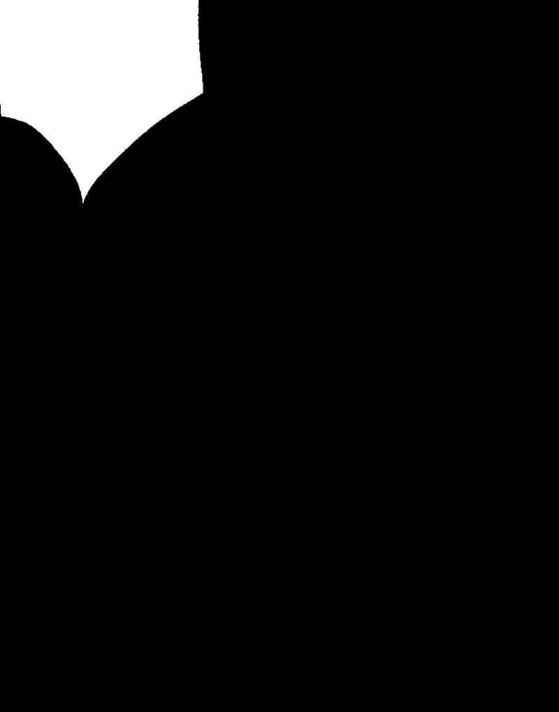 Chapter 2 - Image 97