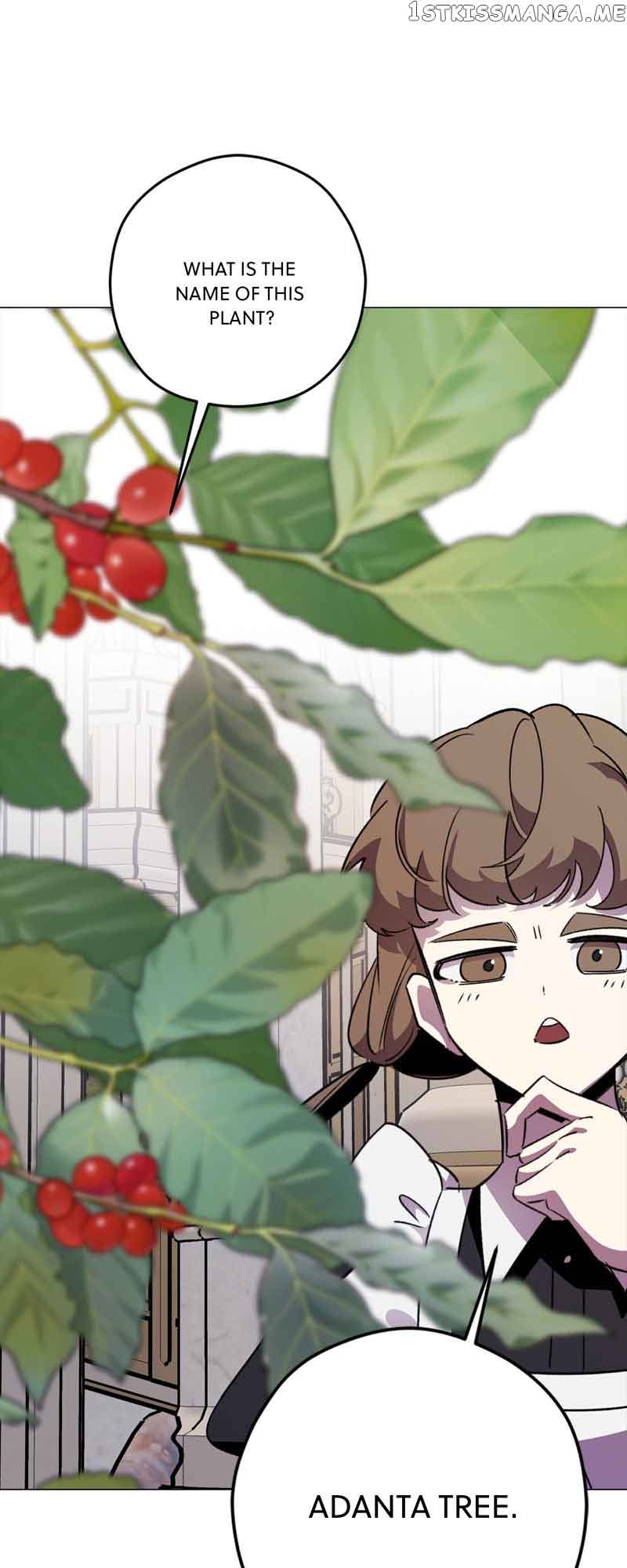 Chapter 2 - Image 23