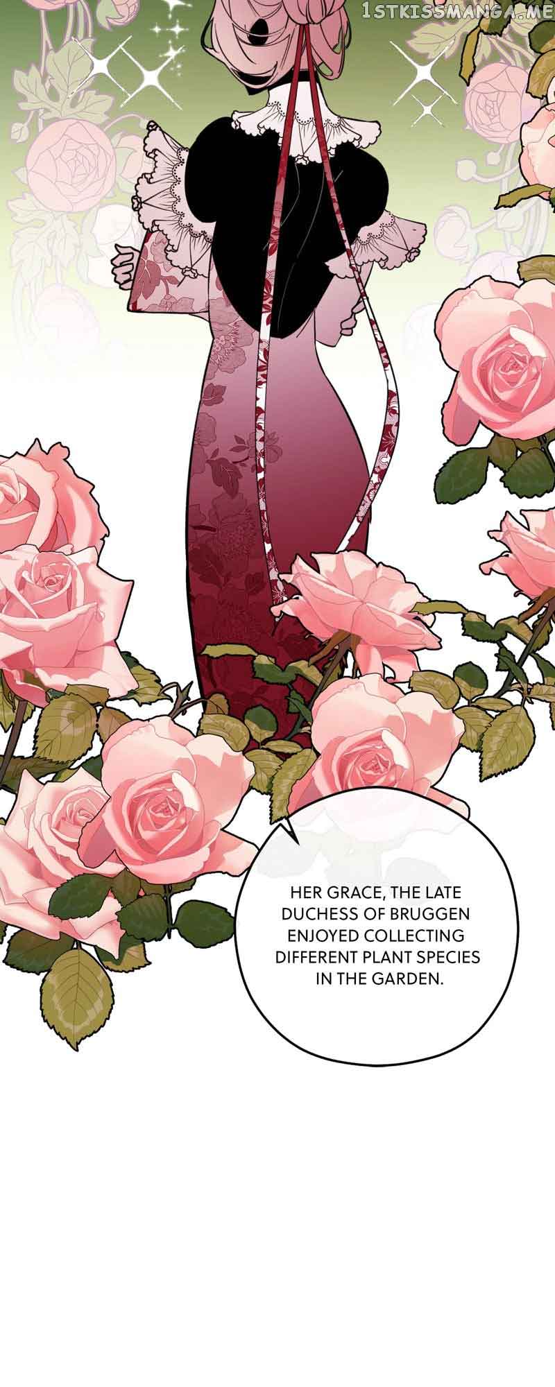 Chapter 2 - Image 25