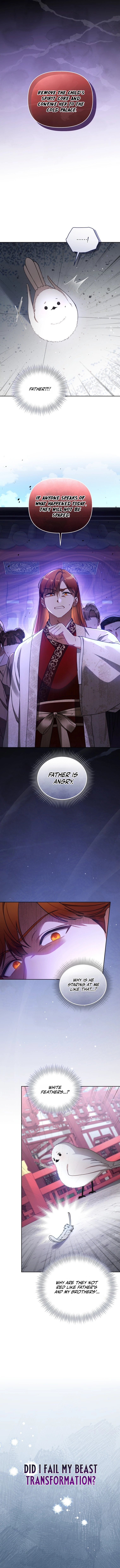 Chapter 1 - Image 12