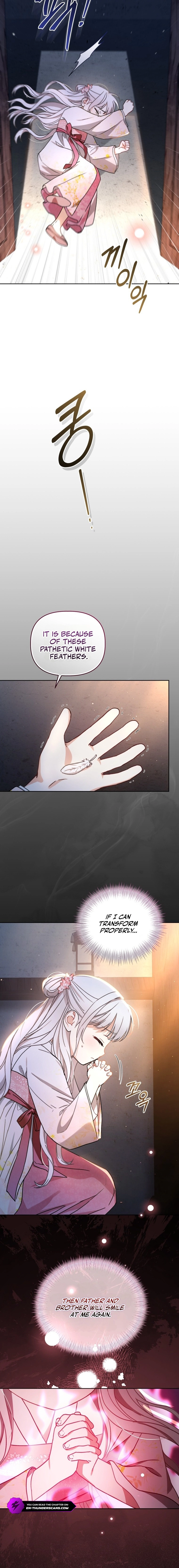 Chapter 1 - Image 16