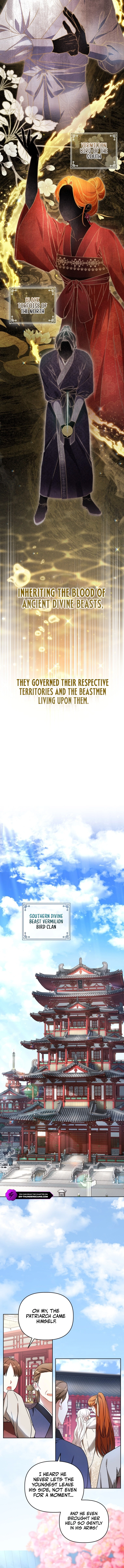 Chapter 1 - Image 4