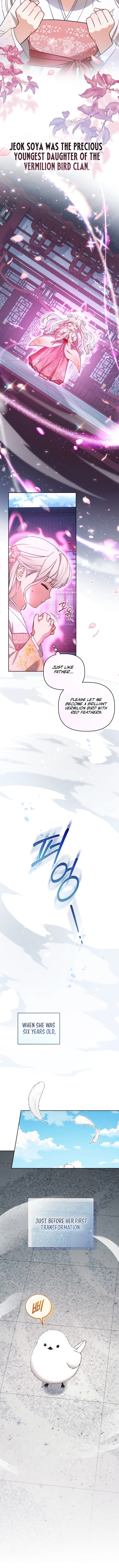 Chapter 1 - Image 6