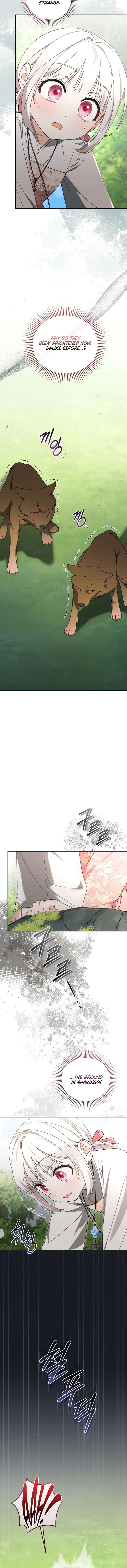 Chapter 17 - Image 4