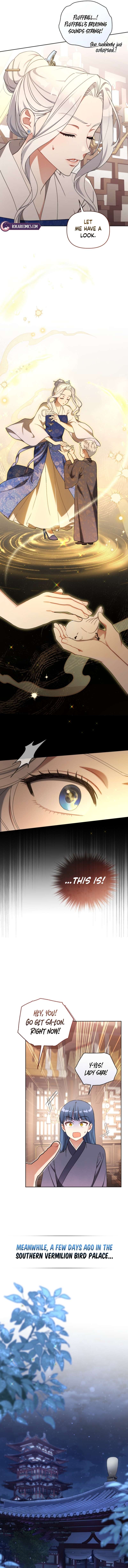 Chapter 8 - Image 11