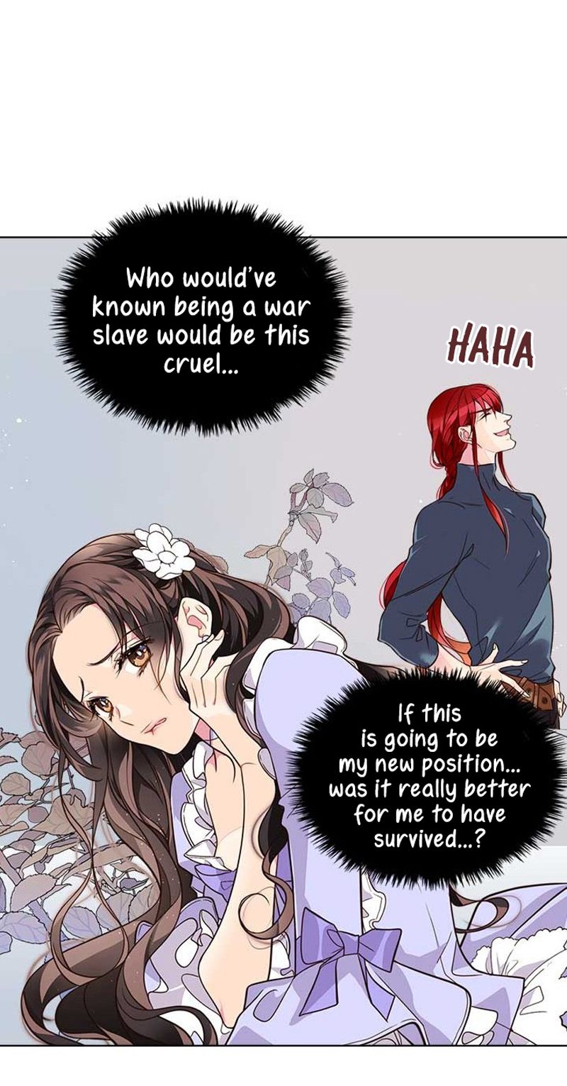 Chapter 3 - Image 16