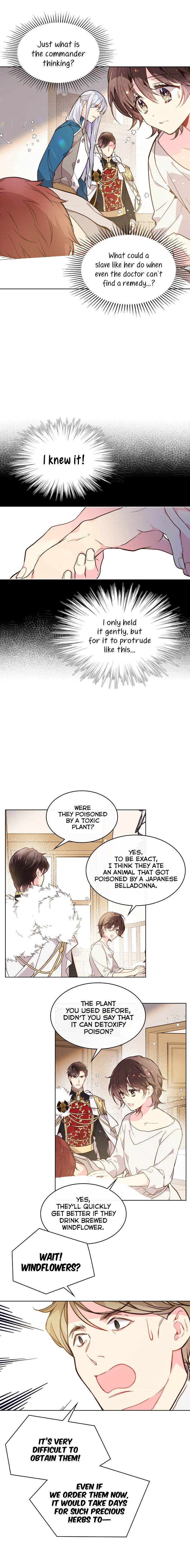 Chapter 33 - Image 3