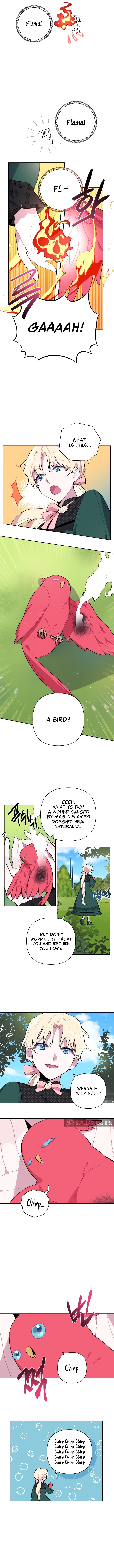 Chapter 5 - Image 3