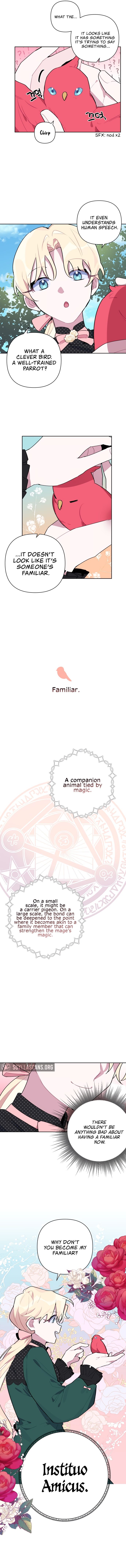 Chapter 5 - Image 4