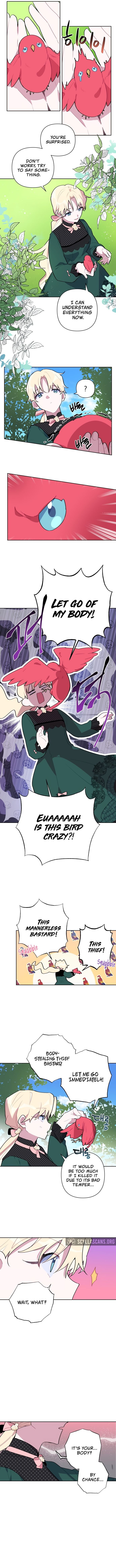 Chapter 5 - Image 5