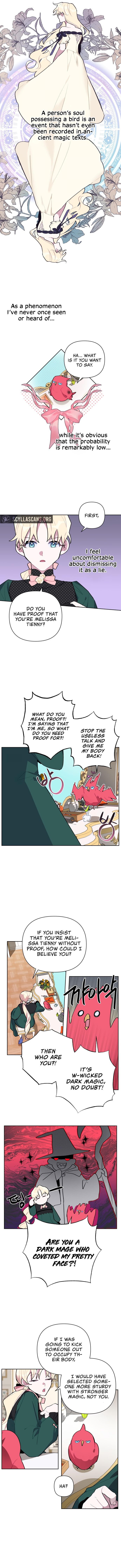Chapter 5 - Image 9