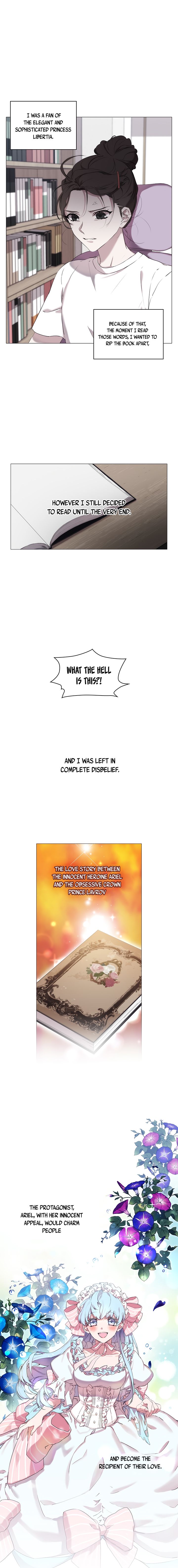 Chapter 1 - Image 3
