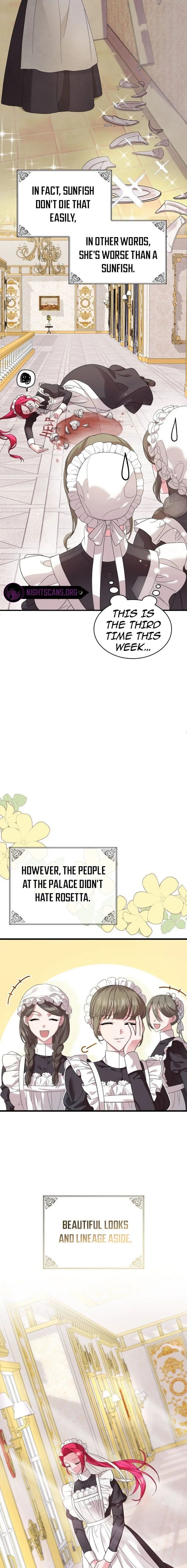 Chapter 1 - Image 3